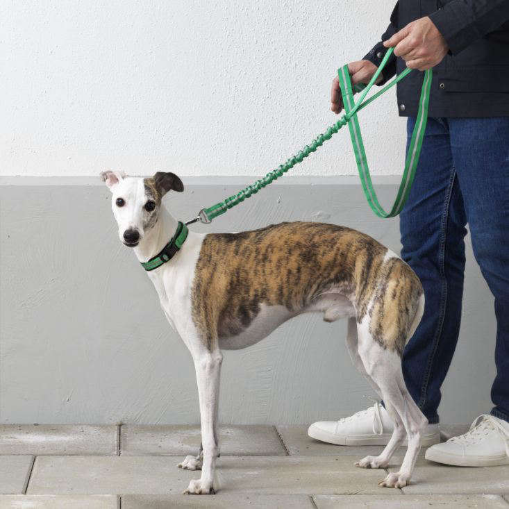 Ikea dog leash deals