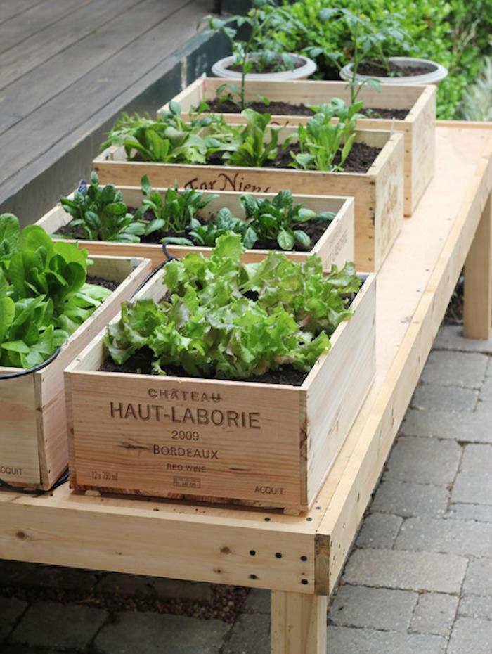 Diy Small Space Vegetable Garden The, Vegetable Gardening Ideas For Small Spaces